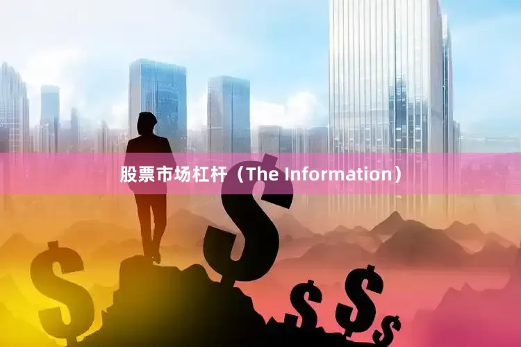 股票市场杠杆（The Information）